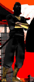 Ninja