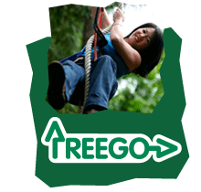 TreeGo